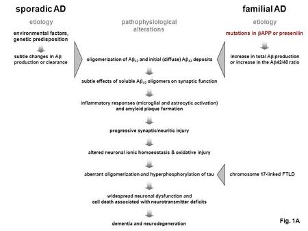 Sporadic AD familial AD etiology environmental factors, genetic predisposition etiology oligomerization of A 42 and initial (diffuse) A 42 deposits subtle.