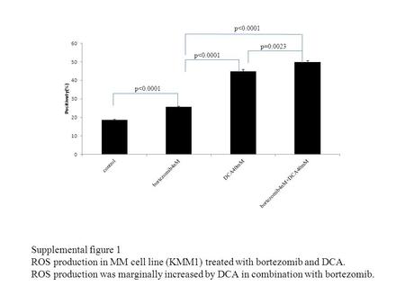 Supplemental figure 1 ROS production in MM cell line (KMM1) treated with bortezomib and DCA. ROS production was marginally increased by DCA in combination.