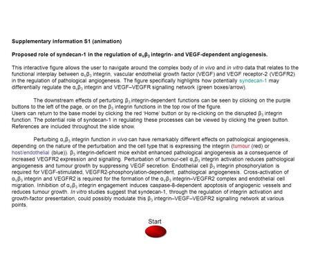 Start Supplementary information S1 (animation) Proposed role of syndecan-1 in the regulation of α V β 3 integrin- and VEGF-dependent angiogenesis. This.
