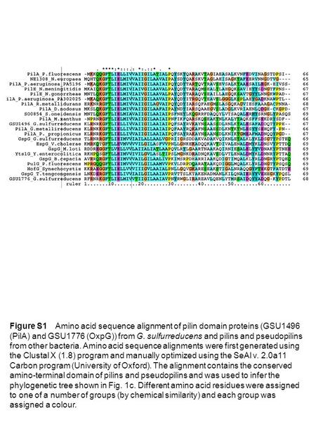 Figure 1: a, Unrooted phylogenetic tree derived from full-length amino acid sequence alignments showing the relationship of G. sulfurreducens pilin domain.