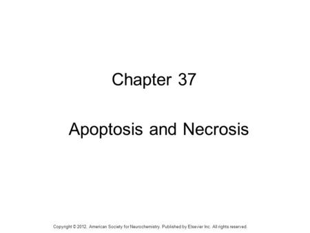 1 Chapter 37 Apoptosis and Necrosis Copyright © 2012, American Society for Neurochemistry. Published by Elsevier Inc. All rights reserved.