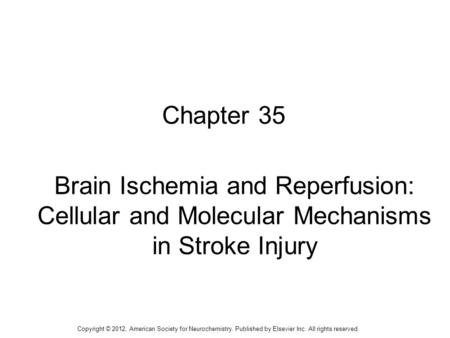 Brain Ischemia and Reperfusion: Cellular and Molecular Mechanisms