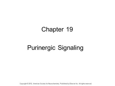 1 Chapter 19 Purinergic Signaling Copyright © 2012, American Society for Neurochemistry. Published by Elsevier Inc. All rights reserved.