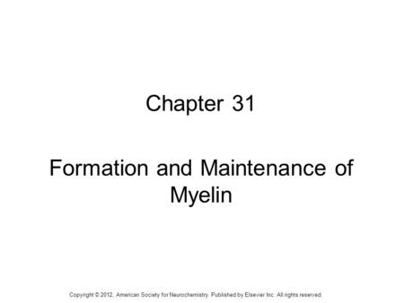 Formation and Maintenance of Myelin