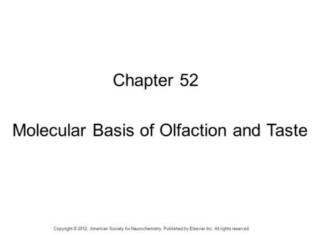 1 Chapter 52 Molecular Basis of Olfaction and Taste Copyright © 2012, American Society for Neurochemistry. Published by Elsevier Inc. All rights reserved.