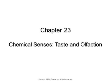 Chapter 23 Chemical Senses: Taste and Olfaction
