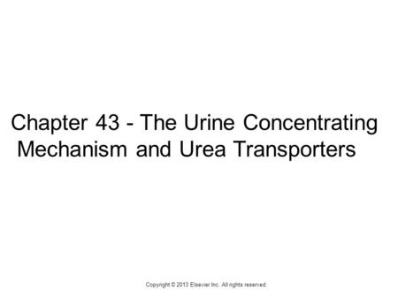 1 Chapter 43 - The Urine Concentrating Mechanism and Urea Transporters Copyright © 2013 Elsevier Inc. All rights reserved.