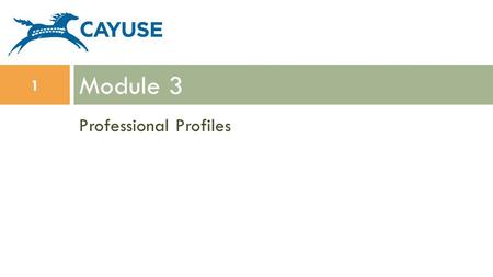 Professional Profiles Module 3 1. Objectives In this module you will learn: Professional Profile basics How to create a Professional Profile How to add.