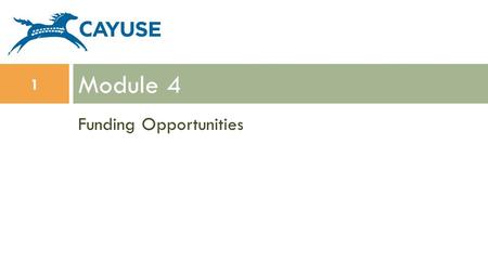 Funding Opportunities Module 4 1. Objectives In this module you will learn how to: Understand what an opportunity is Determine if an opportunity has already.