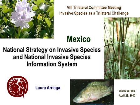 National Strategy on Invasive Species and National Invasive Species Information System VIII Trilateral Committee Meeting Invasive Species as a Trilateral.