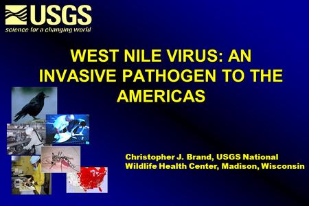 WEST NILE VIRUS: AN INVASIVE PATHOGEN TO THE AMERICAS Christopher J. Brand, USGS National Wildlife Health Center, Madison, Wisconsin.