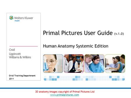 Ovid Training Department 2011 Primal Pictures User Guide (v.1.0) 3D anatomy images copyright of Primal Pictures Ltd www.primalpictures.com Human Anatomy.