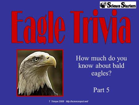 How much do you know about bald eagles? Part 5 T. Trimpe 2008