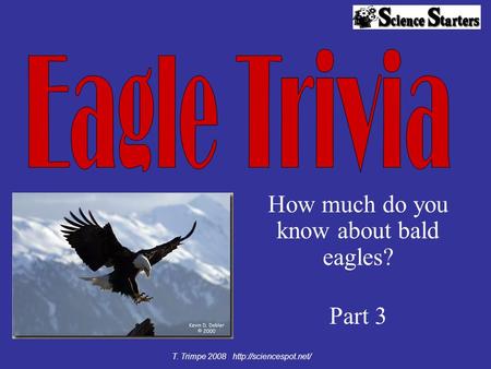 How much do you know about bald eagles? Part 3 T. Trimpe 2008