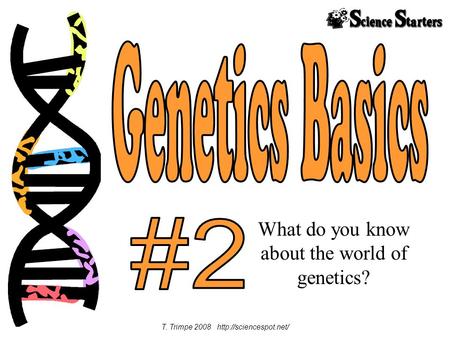 Genetics Basics #2 What do you know about the world of genetics?