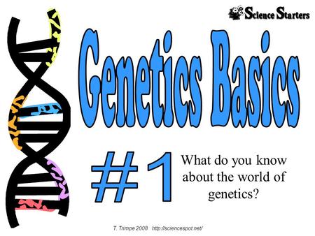 What do you know about the world of genetics? T. Trimpe 2008