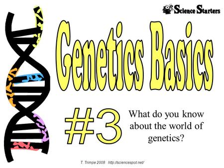 What do you know about the world of genetics? T. Trimpe 2008