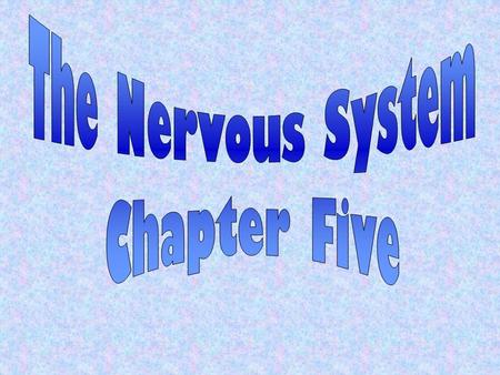 The Nervous System Chapter Five.