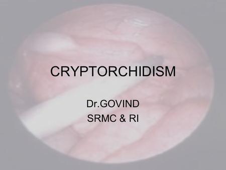 CRYPTORCHIDISM Dr.GOVIND SRMC & RI.