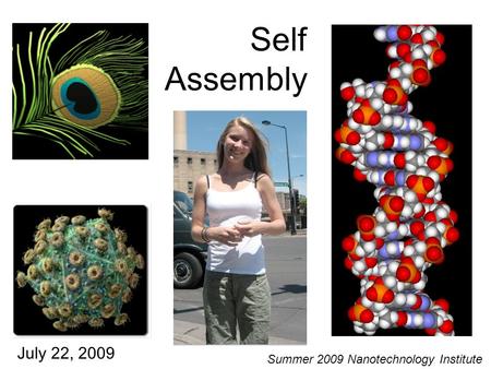 Self Assembly July 22, 2009 Summer 2009 Nanotechnology Institute.