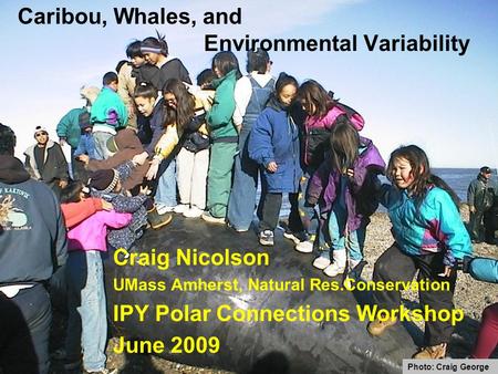 Caribou, Whales, and Environmental Variability Craig Nicolson UMass Amherst, Natural Res.Conservation IPY Polar Connections Workshop June 2009 Photo: Craig.
