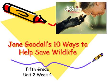 Jane Goodall’s 10 Ways to Help Save Wildlife