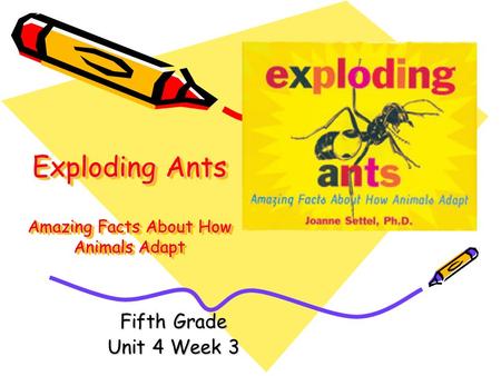 Exploding Ants Amazing Facts About How Animals Adapt