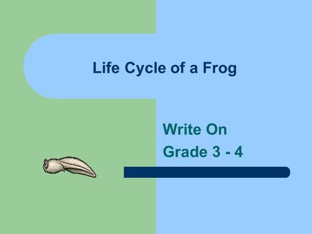 Life Cycle of a Frog Write On Grade 3 - 4.