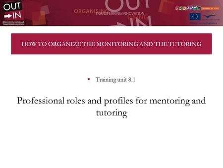 HOW TO ORGANIZE THE MONITORING AND THE TUTORING Training unit 8.1 Professional roles and profiles for mentoring and tutoring.