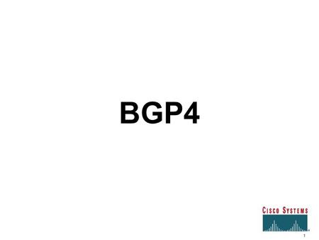 BGP4 1 1.