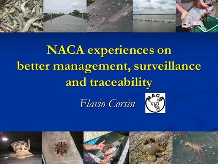 NACA experiences on better management, surveillance and traceability