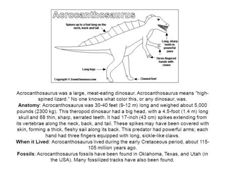 Acrocanthosaurus was a large, meat-eating dinosaur. Acrocanthosaurus means high- spined lizard. No one knows what color this, or any dinosaur, was. Anatomy: