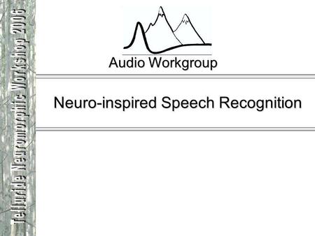 Audio Workgroup Neuro-inspired Speech Recognition.