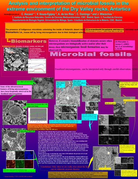 SEM_BSE image and EDS elemental distribution maps of Na, Al, Si, S, K, Mn and Fe of the cells C This story is told with the help of a green, a blue and.