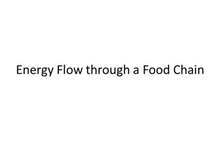 Energy Flow through a Food Chain