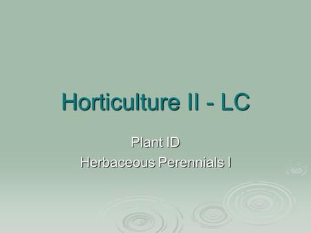 Horticulture II - LC Plant ID Herbaceous Perennials I.