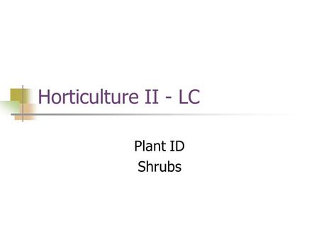 Horticulture II - LC Plant ID Shrubs.