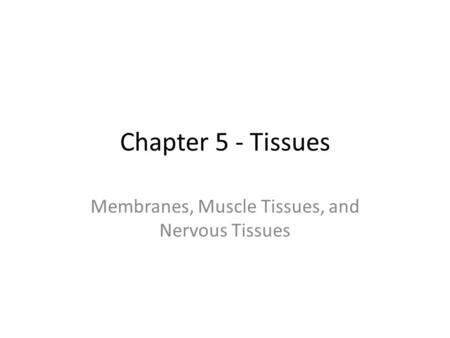 Membranes, Muscle Tissues, and Nervous Tissues