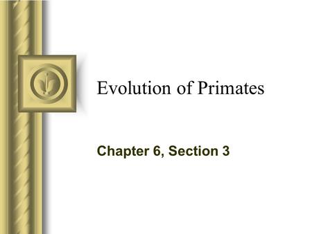 Evolution of Primates Chapter 6, Section 3.