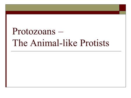Protozoans – The Animal-like Protists