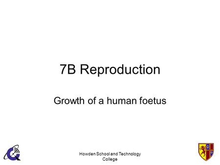 Howden School and Technology College 7B Reproduction Growth of a human foetus.