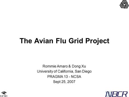 The Avian Flu Grid Project Rommie Amaro & Dong Xu University of California, San Diego PRAGMA 13 - NCSA Sept 25, 2007.