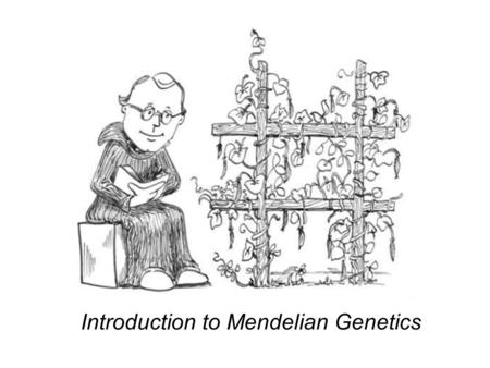 Introduction to Mendelian Genetics