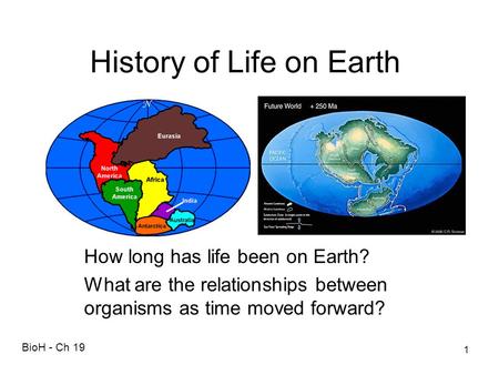 History of Life on Earth How long has life been on Earth? What are the relationships between organisms as time moved forward? BioH - Ch 19 1.
