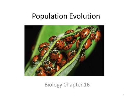 Population Evolution Biology Chapter 16