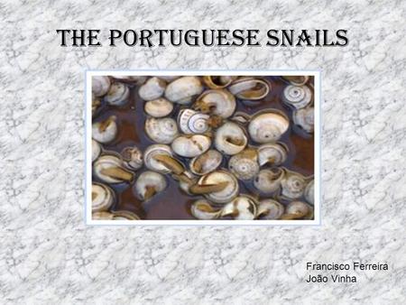 The Portuguese Snails Francisco Ferreira João Vinha.