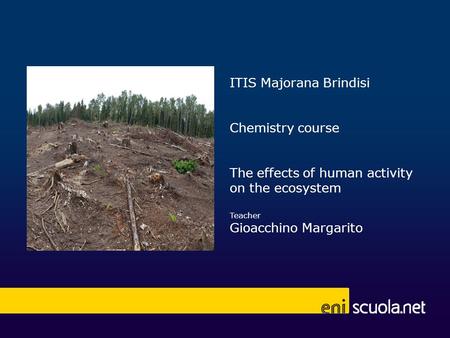 ITIS Majorana Brindisi Chemistry course The effects of human activity on the ecosystem Teacher Gioacchino Margarito.