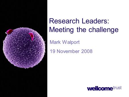 Research Leaders: Meeting the challenge Mark Walport 19 November 2008.