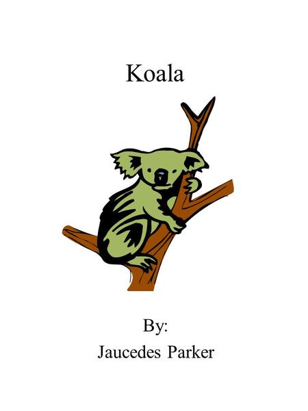 Koala By: Jaucedes Parker. Dedication Page I dedicate this book to my mom and dad, and my teacher.