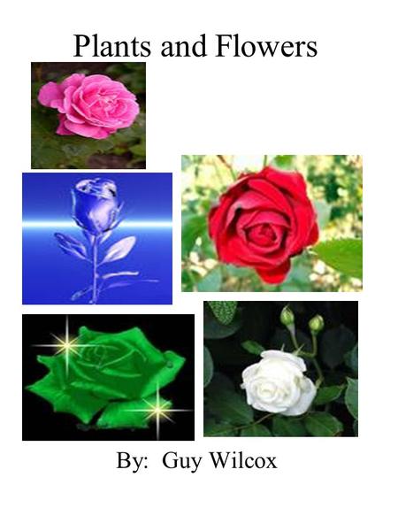 Plants and Flowers By: Guy Wilcox. I like to thank my friend, Sean Ruckman, Mrs. Garrett, and my mom and my dad. Dedication Page.